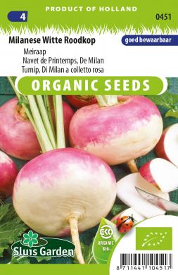 Turnip Milanese Purple Top White Globe BIO (Brassica) 1200 seeds